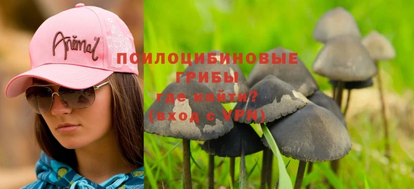 МДПВ Алзамай